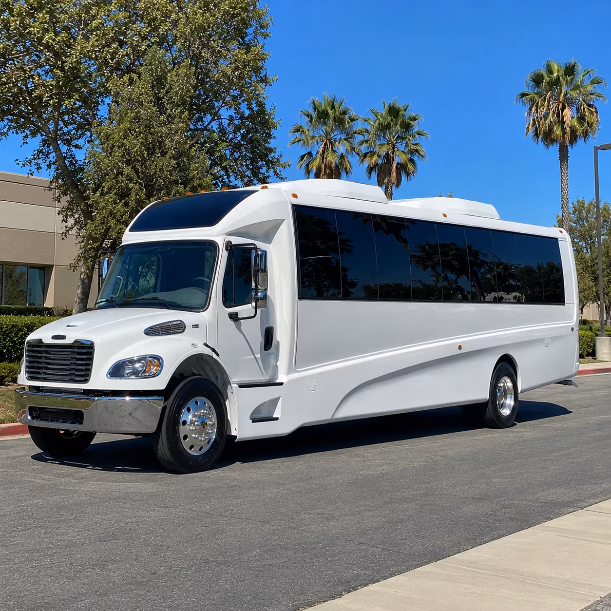 roswell 15 passenger minibus
