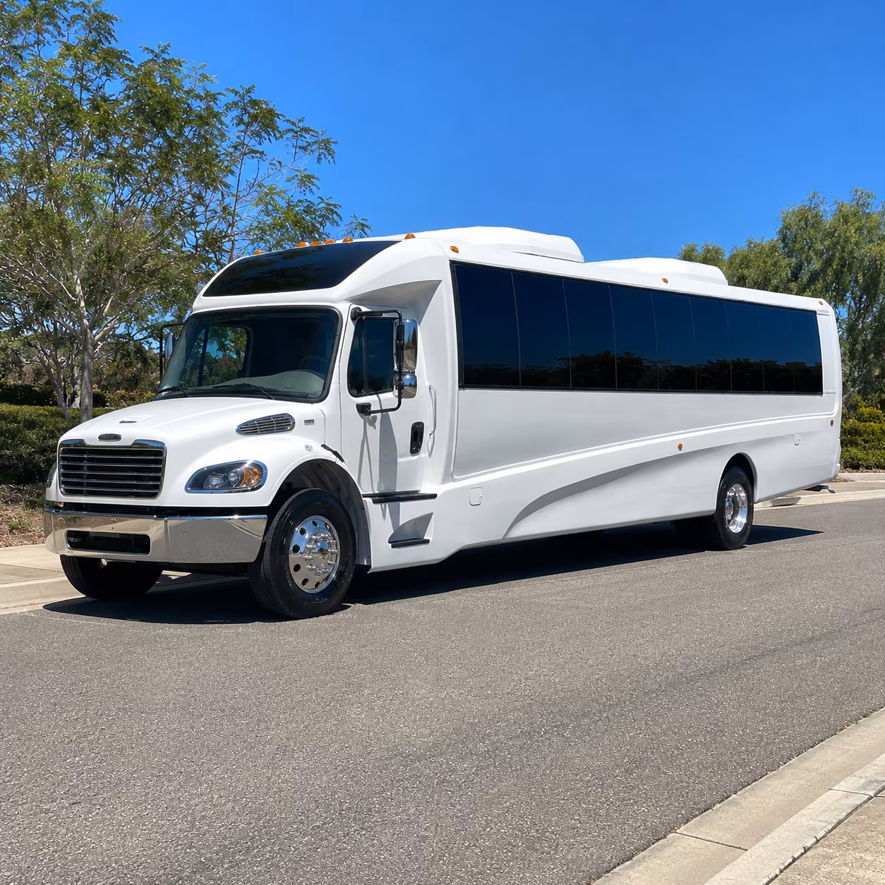 roswell 18 passenger minibus