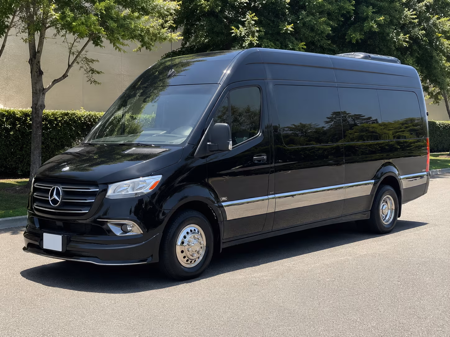 roswell sprinter limousine