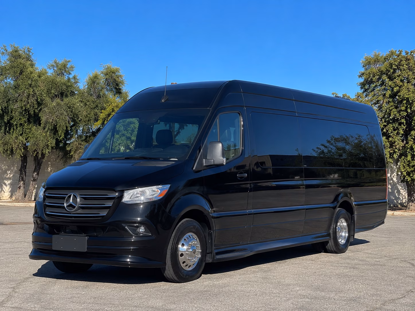 roswell sprinter van with driver